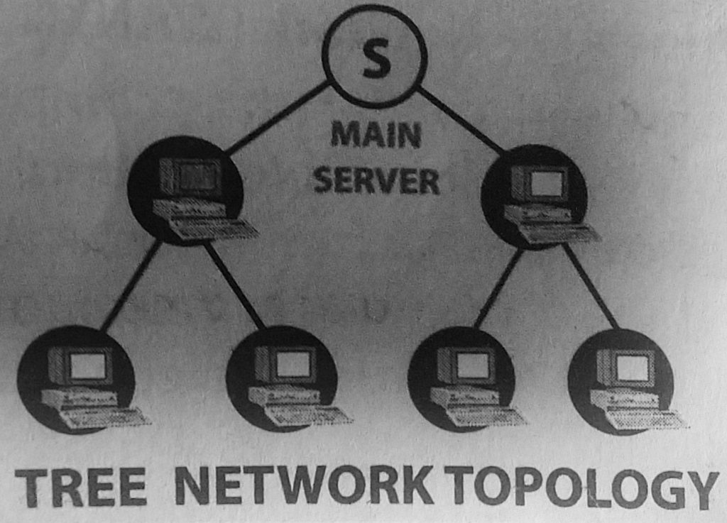 tree computer networks typology