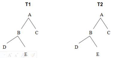 copy of tree data structure