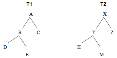 similar binary tree data structure