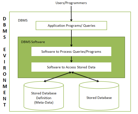 database management system (DBMS) environment