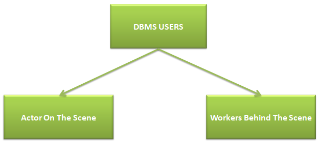 what are the different types of dbms users