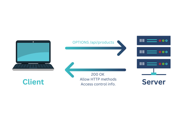 OPTIONS method request and response in REST API