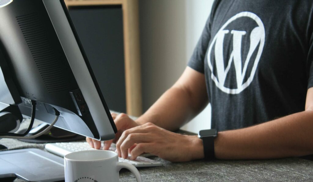 WordPress developer