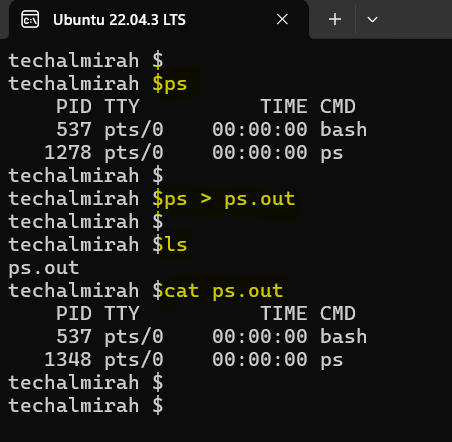 save ps command results to ps.out